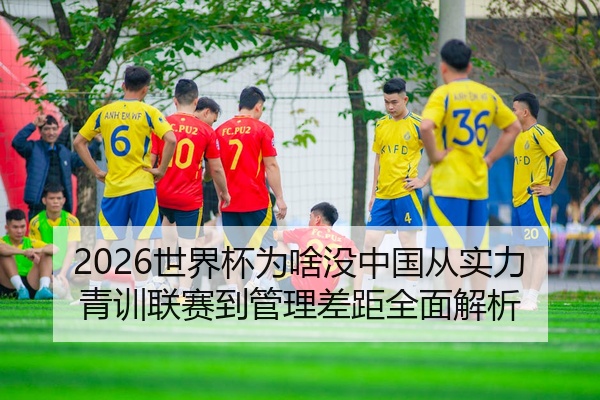 2026世界杯为啥没中国从实力青训联赛到管理差距全面解析