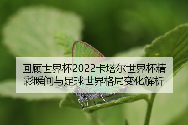 回顾世界杯2022卡塔尔世界杯精彩瞬间与足球世界格局变化解析