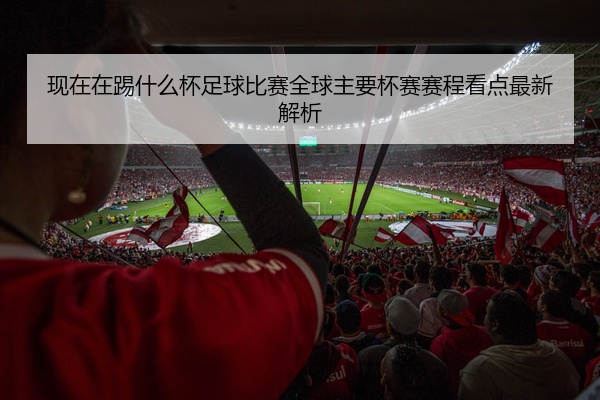 现在在踢什么杯足球比赛全球主要杯赛赛程看点最新解析