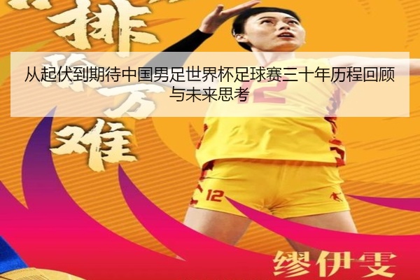 从起伏到期待中国男足世界杯足球赛三十年历程回顾与未来思考
