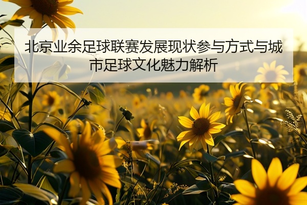 北京业余足球联赛发展现状参与方式与城市足球文化魅力解析